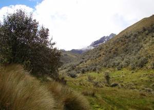 Tungurahua - Ecuador