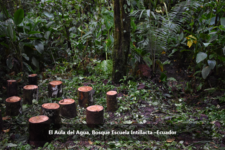 El Bosque Modelo Chocó Andino promueve la adopción de Bosques Escuela en la reunión anual de directorio de la Red Iberoamericana de Bosques Modelo – RIABM