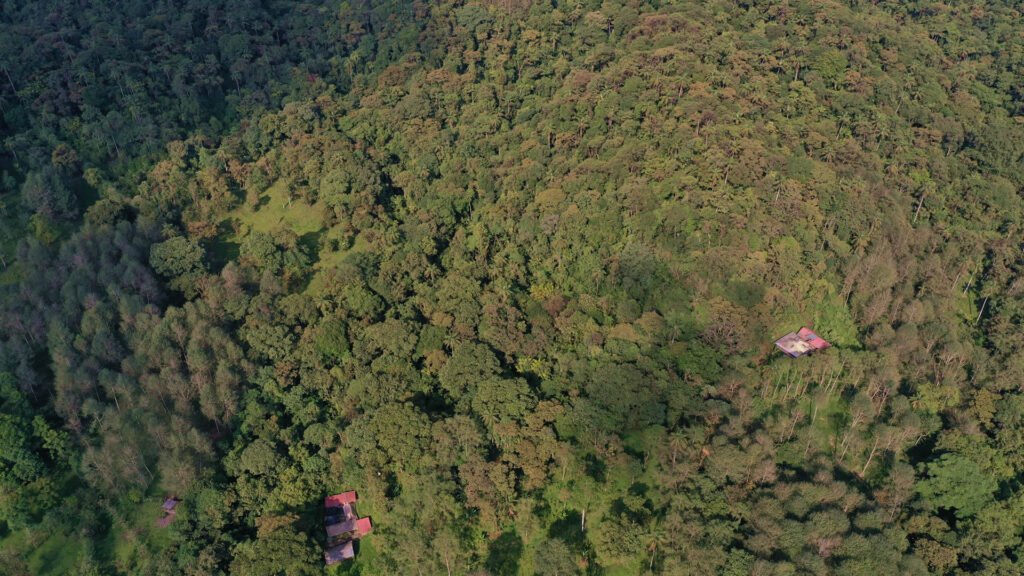 Curso e Intercambio de experiencias: Restauración forestal a nivel de paisaje en el Bosque Modelo y Biosfera del Chocó Andino
