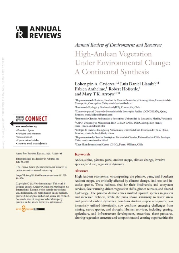 High-Andean Vegetation Under Environmental Change: A Continental Synthesis