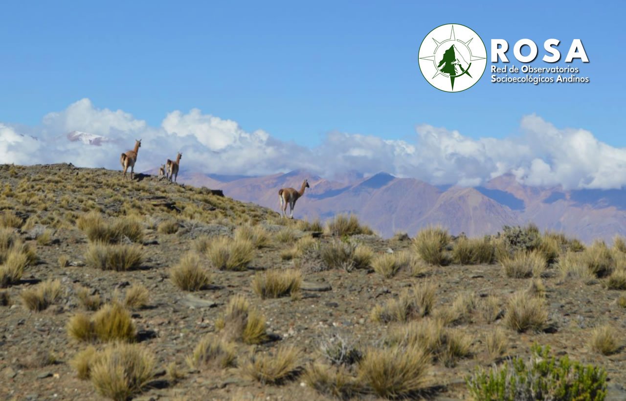 La red ROSA se consolida en Mendoza: Observatorios Socioecológicos Andinos trazan hoja de ruta para la integración de datos y la cooperación regional