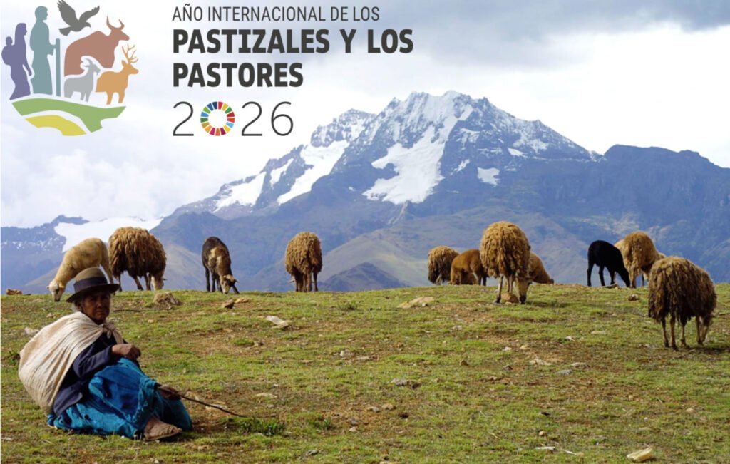 Año Internacional de los Pastizales