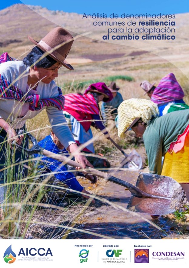 Análisis de denominadores comunes de resiliencia para la Adaptación al Cambio Climático
