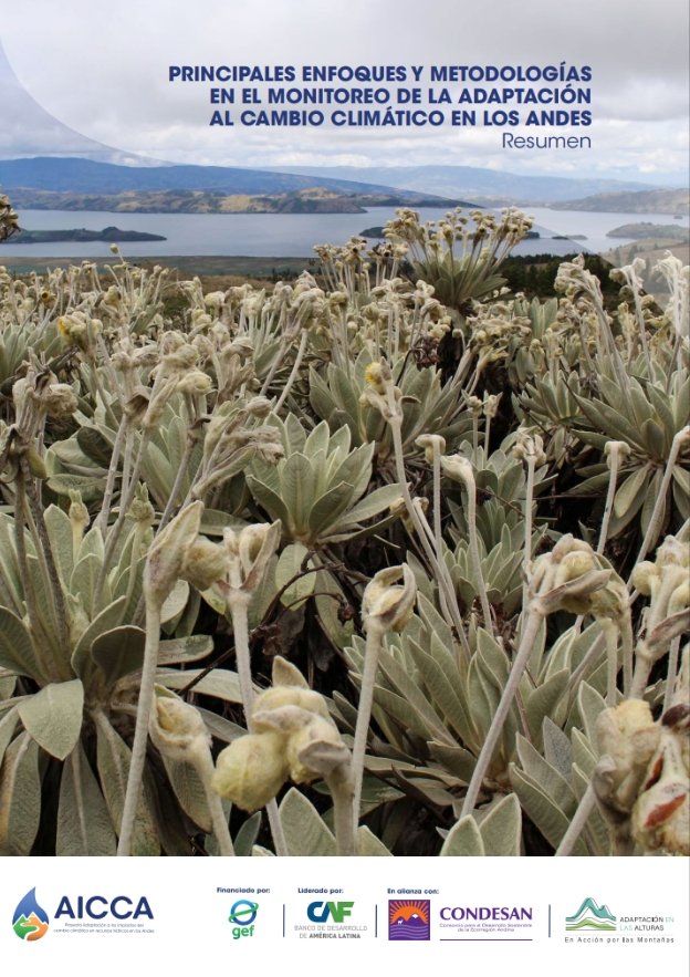 Principales enfoques y metodologías en el monitoreo de la adaptación al Cambio Climático en los Andes - Resumen