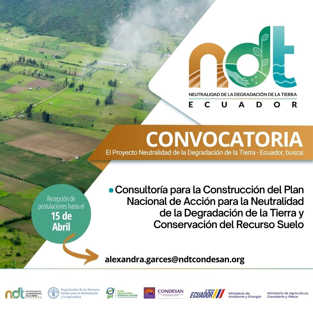 Consultoría para la Construcción Participativa del Plan Nacional de Acción NDT & CRS
