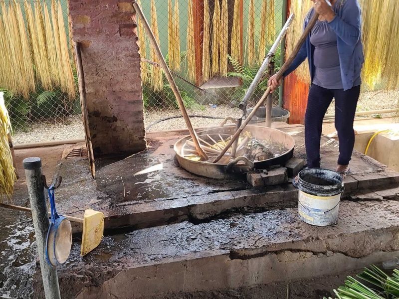 Desarrollo incentivos NDT 01