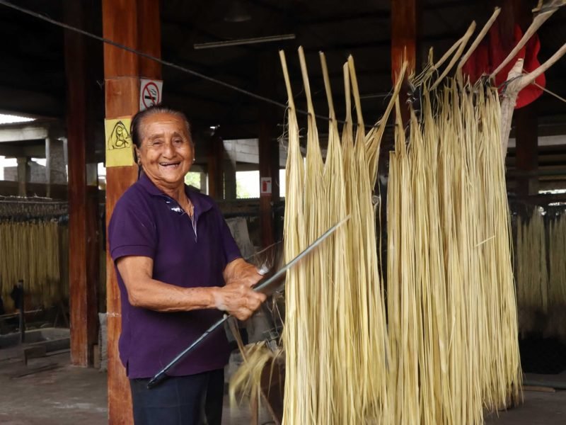 Desarrollo incentivos NDT 07