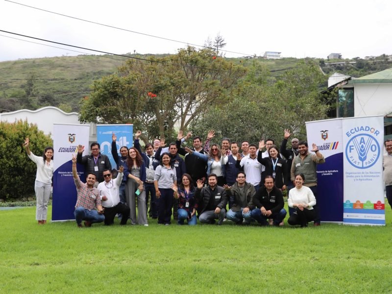 Fortalecimiento gobernanza NDT15