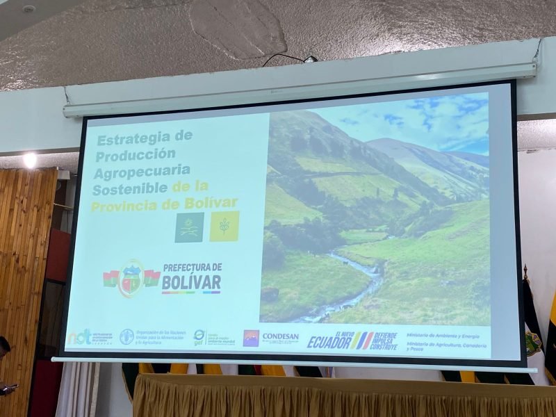Fortalecimiento gobernanza NDT20