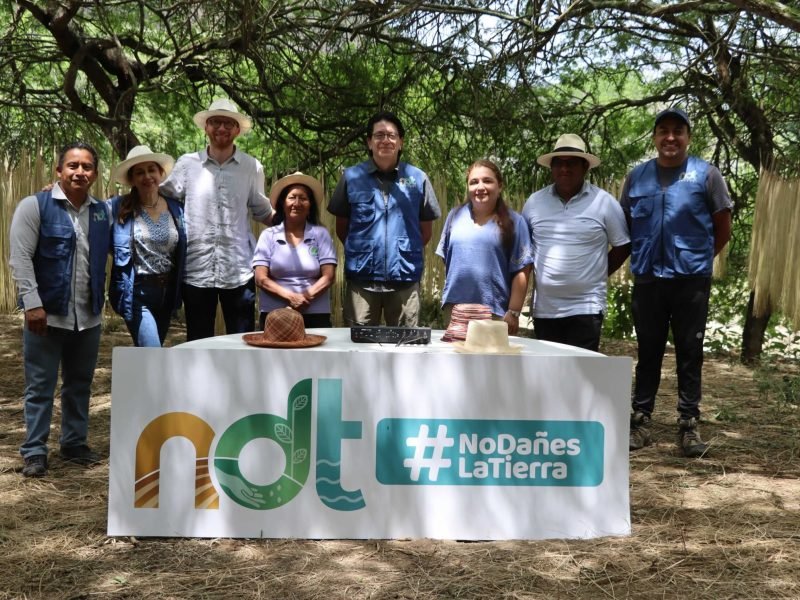 Gestión del conocimiento NDT 13