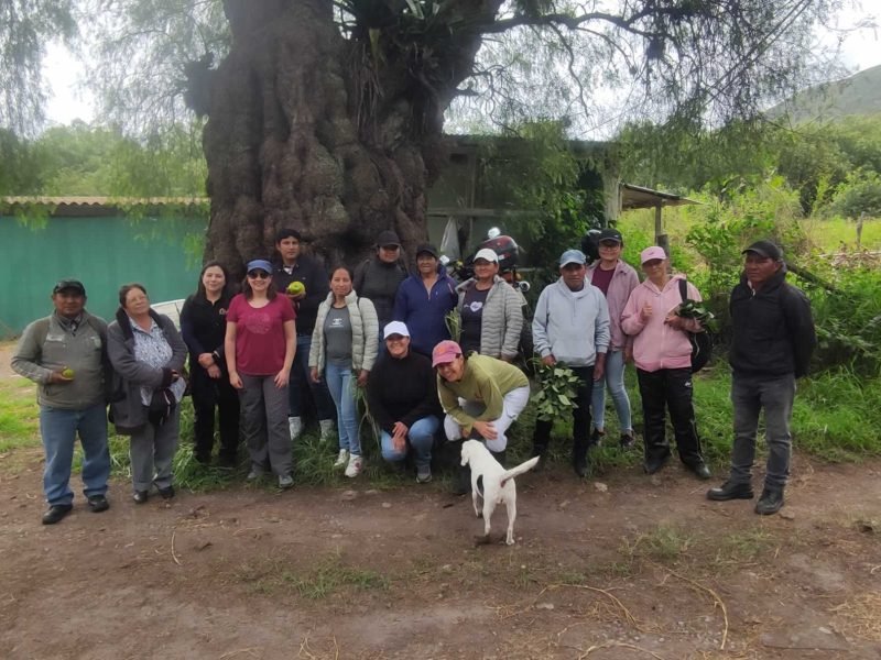Implementacion prácticas NDT 09