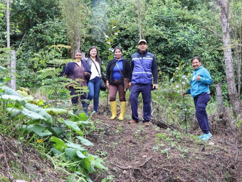 Implementacion prácticas NDT 16