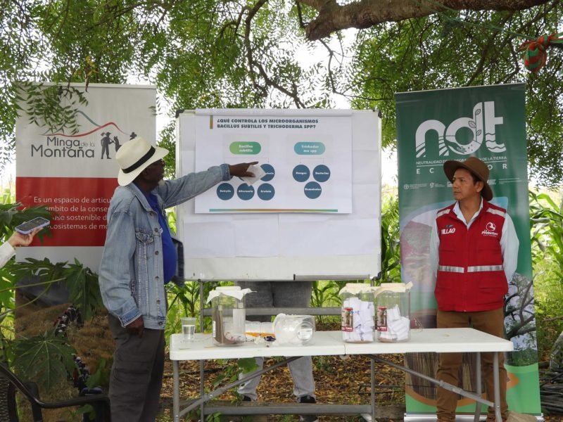 Implementacion prácticas NDT 21
