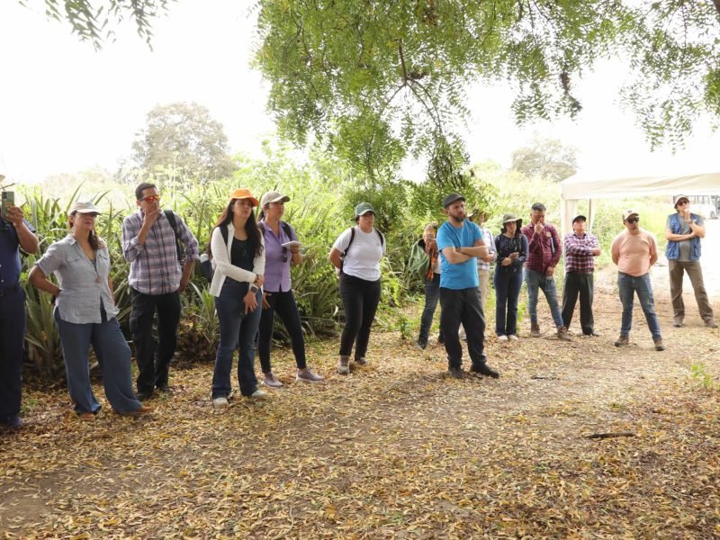 Implementacion prácticas NDT 23