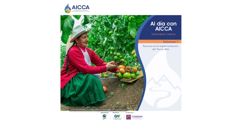 informativo interno – Al día con AICCA Vol. 1